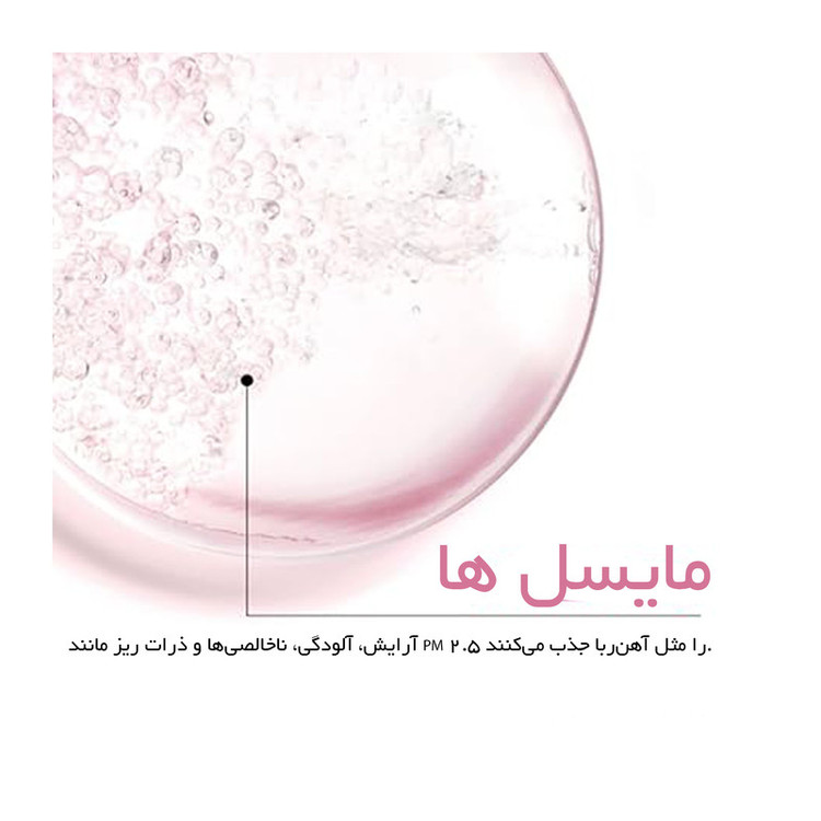 محلول پاک کننده آرایش صورت مدل Skin Naturals حجم 400 میلی لیتر